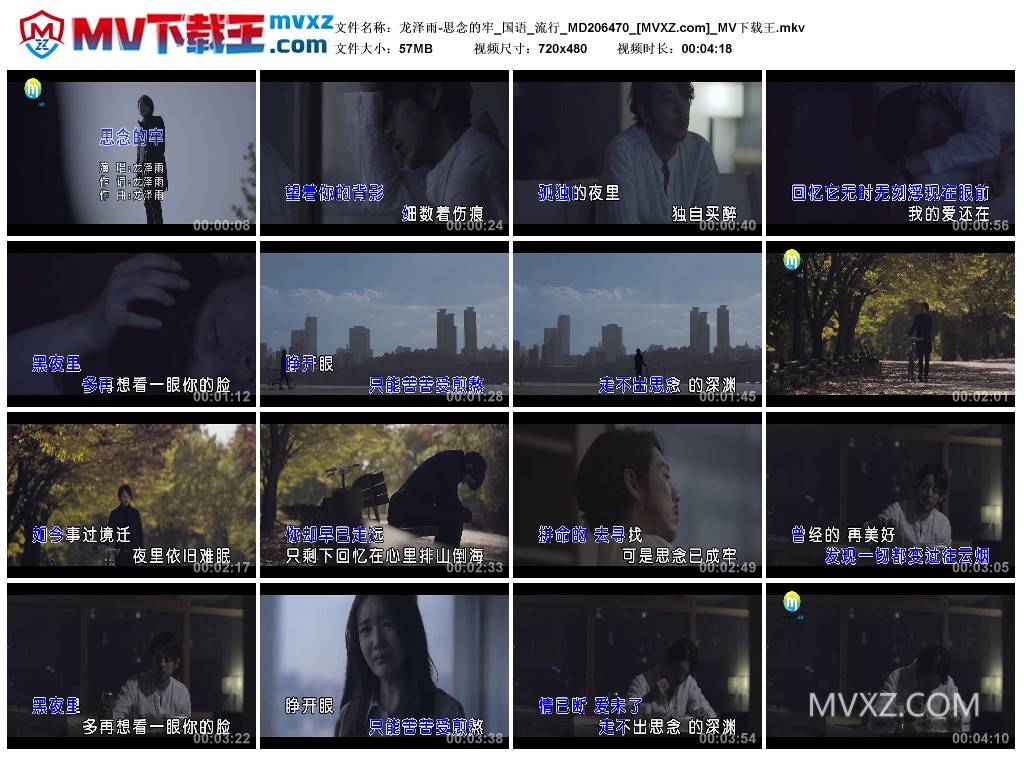 龙泽雨-思念的牢_国语_流行_MD206470